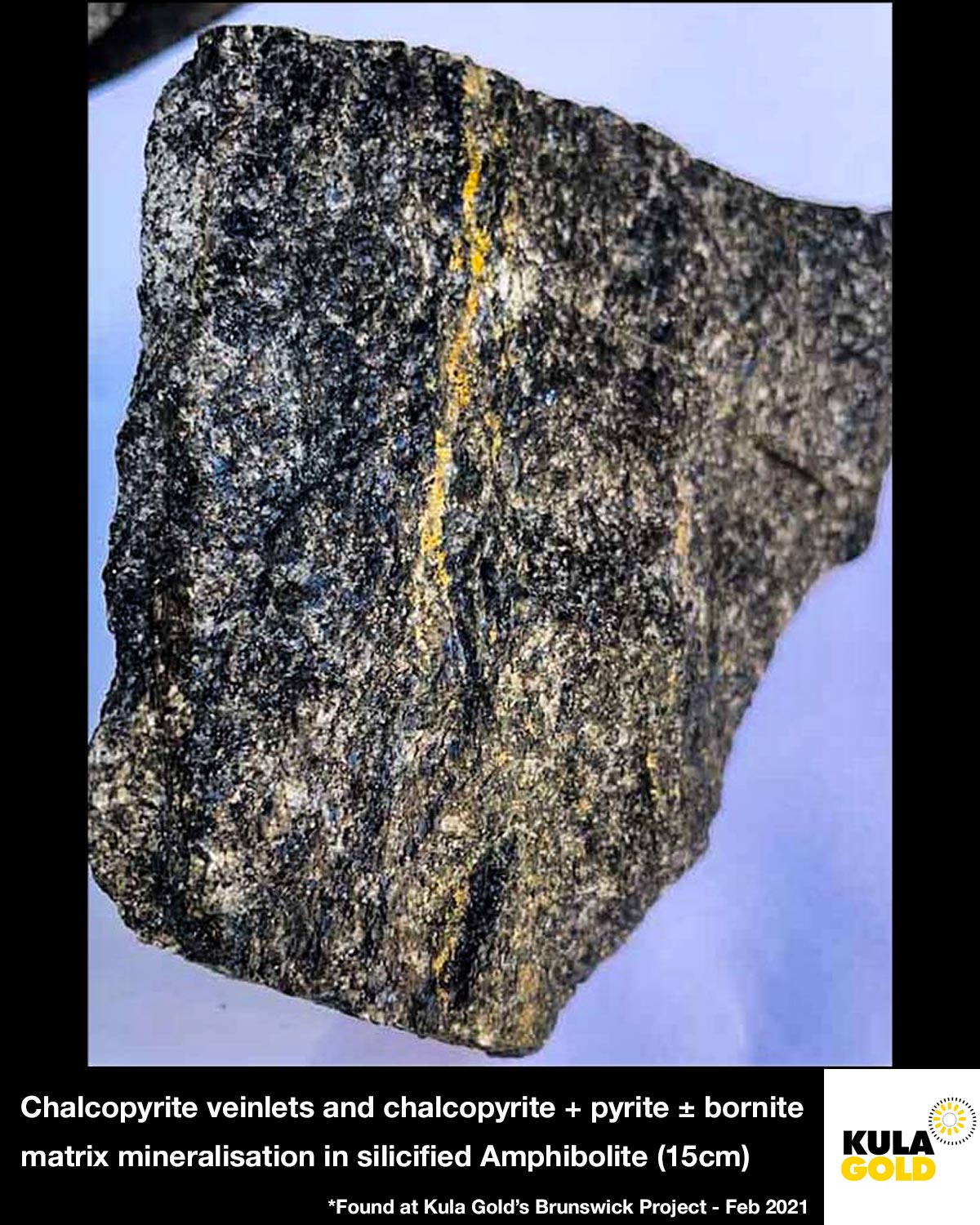 Figure 1 - Rock samples from Brunswick Ni-Cu-PGE Project - February 2021.